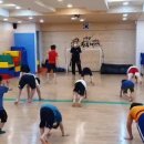 황룡태권도 이미지