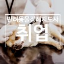반려동물장례지도사 취업시 고려할 실무교육 중요성