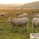 사안농장 이미지