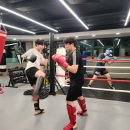슬러거MMA 이미지