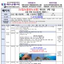 라이언여행사
