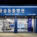 윤슬동물병원 이미지