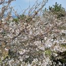 더럭초등학교 이미지