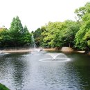 부민초등학교 이미지