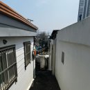 신정식당 이미지