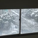 더꼬오치 | 만콩일기 | 헬스하고 알콜 충전 | 윤하 서울 막콘 후기