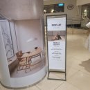 바바라롯데백화점 | 잠실팝업정보: [바바라]/ 선착순 SNS 업로드 시 스벅 쿠폰 증정!