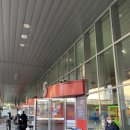 [강남 센트럴터미널] 내돈내산_창억떡집 호박인절미 인터넷 주문 후 버스터미널 화물 수령_위치