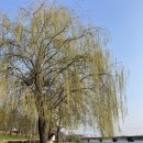 장대공원 이미지