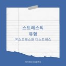 유스트레스(EUSTRESS)
