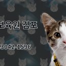 동물보육원 김포지부 이미지