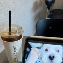 커피나인송도
