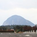 건강과성박물관 제주 이미지