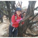 사나래모텔 이미지