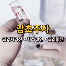 바디플랜 이미지