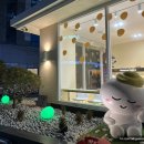 삼송빵집 강남양재점 이미지