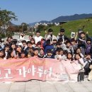 GOGO(고고)투어 이미지