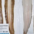 바다수산주