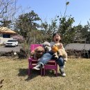 대박 불 한증막 | 제주 애견동반펜션 독채 서쪽 우리들의 블루스 펜션 내돈내산 대가족여행 숙소 추천