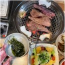 윤)요기가고기가윤