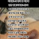 손의개농장 이미지