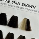 예진스킨