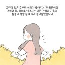 똥꼬네 이미지
