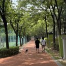 가족쉼터 이미지