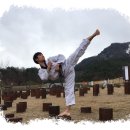 한국체대 참태권도장 이미지