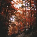 고교농로 이미지