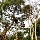 양평엔옥천공인중개사사무소 이미지