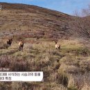 순장농장 티스토리