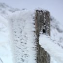 겨울나그네 이미지