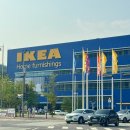 광명 이케아 IKEA 사야 할 추천 아이템! 첫방문 푸드코트 후기!