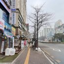 143 | 노모어피자장안구청점 포장해서 KT위즈파크 직관 가기