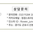 정경스토리 이미지