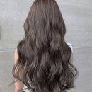 헤어메니아 이미지