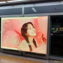 챔프 이미지