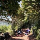 느영나영민박 | 한국기행 요즘, 제주 2부 느영느영 살게, 동백기름 동백오일 파는 곳 택배 주문 방법 - 동백방앗간