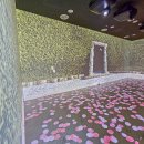 공주 볼거리 충청남도역사박물관 유네스코 세계기록유산 유물 전시
