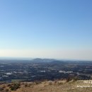 대수목장 네이버블로그