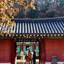 내린천 자연세상 이미지