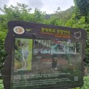 봉래모텔 | [울릉도 독도여행] 4. 울릉도 육로B 코스: 내수전일출전망대-봉래폭포