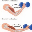 트레이닝론 이미지
