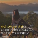발리 5박 6일 일정 [1-2일차]｜79만 원 항공권, 우붓 지프 투어·파인 다이닝 후기 (+기내식 변경)