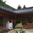 약선오리 이미지