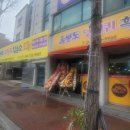 울릉도엉겅퀴흑염소
