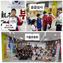 부영태권스토리 이미지