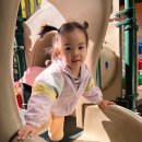 외환은행 옆 우리은행 뒤 | 77. 생후 132,133주차 : 달음산 자연휴양림, 진영 철도박물관, 북항 친수공원