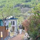 물금역1길 | 🏷️양산 카페 추천, 양산대형카페, 양산 등나무꽃 카페